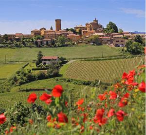 a field of red flowers in front of a village at Beaujolais - Maison pierres dorées in Ville-sur-Jarnioux
