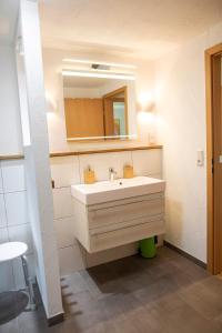 a bathroom with a sink and a mirror at Ferienwohnung am Sonnenstein in Brehme