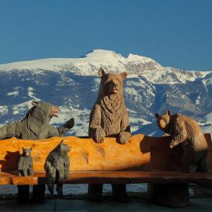 Gallery image of Snake River Lodge in Teton Village