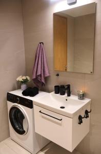un bagno con lavatrice e lavandino di Tiffany Residence a Pärnu