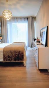 布鲁塞尔Oasis of charm in Brussels!的相册照片