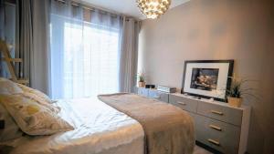 布鲁塞尔Oasis of charm in Brussels!的相册照片