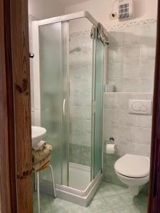 a bathroom with a shower with a toilet and a sink at Chalet Valeruz in Canazei +30 photos