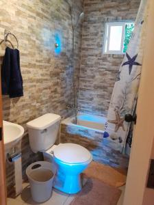 a bathroom with a toilet and a bath tub at Casa en centro Puerto Montt in Puerto Montt