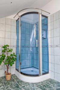 Koupelna v ubytování Penzion Ronox + 23 fotografií