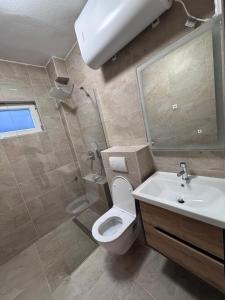 a bathroom with a toilet and a sink and a mirror at Apartment Tribanj Florida in Viniština +16 photos