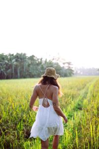 Hosté ubytování Utopia Varkala - Boutique stay in Odayam rice fields