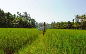 Hosté ubytování Utopia Varkala - Boutique stay in Odayam rice fields