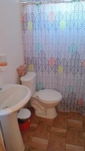 a bathroom with a toilet and a sink and a shower curtain at Cabaña San Isidro in Coipue