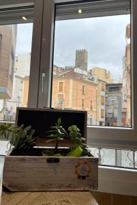 una scatola di legno con una pianta in vaso davanti a una finestra di CASA TONIO a Banyeres de Mariola