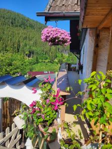 un balcone con fiori rosa appesi a un edificio di Ferienwohnung Schwarzwaldglück a Baiersbronn