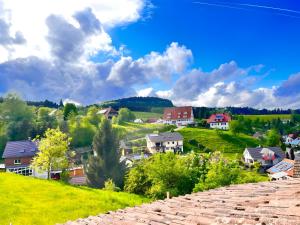 una piccola città con case su una collina di Ferienwohnung Schwarzwaldglück a Baiersbronn