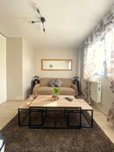 un salon avec un canapé et une table basse dans l'établissement Bel Appartement 2 pièces - 10min de la mer, à Nice