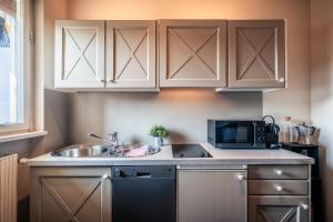 Η κουζίνα ή μικρή κουζίνα στο Apartment Domus