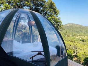 a igloo house with a table in it at Palom'bolla in Porto-Vecchio