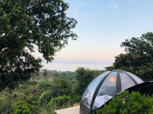 a dome tent with a view of a forest at Palom'bolla in Porto-Vecchio