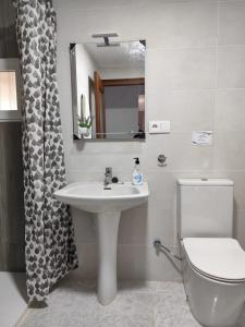 a bathroom with a sink and a toilet and a mirror at La Casa de los Alemanes in Gaibiel