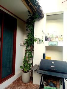 Foto sihtkohas Nungwi asuva majutusasutuse SARA'S Garden galeriist
