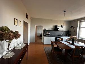 Kuchyňa alebo kuchynka v ubytovaní apartament Mysłowice