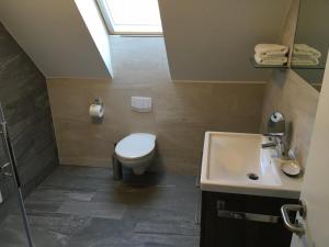IgersheimにあるApartment 06のトイレと洗面台のあるバスルーム