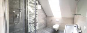 IgersheimにあるApartment 06のシャワーとトイレ付きのバスルーム