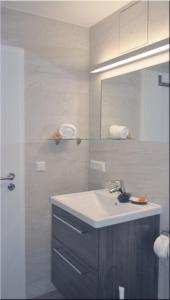 IgersheimにあるApartment 02の洗面台と鏡のあるバスルーム