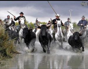 a group of men riding horses and bulls in the water at les sables d'or grau du roi in Le Grau-du-Roi