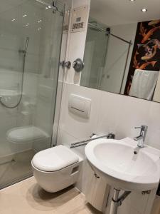 a bathroom with a toilet and a sink and a shower at Historisches Fischerviertel in Ulm