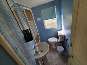a blue bathroom with a toilet and a sink at The Hive on The Chase Ingoldmells in Skegness