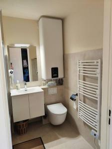 a bathroom with a toilet and a sink and a mirror at Le Mazots, Balcon, Parking, Proche Pistes in Arâches-la-Frasse