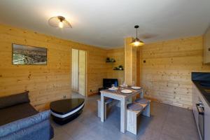 TV a/nebo společenská místnost v ubytování Logement 3 étoiles avec vue imprenable sur les montagnes, ski bus