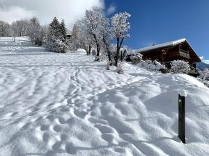Logement 3 étoiles avec vue imprenable sur les montagnes, ski bus v zimě