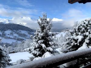 Logement 3 étoiles avec vue imprenable sur les montagnes, ski bus v zimě