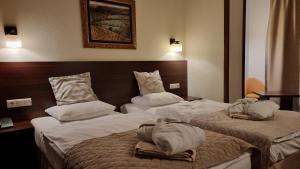 Postel nebo postele na pokoji v ubytování Hotel Nad Przełomem