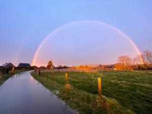 Gallery image of Zarlar House in Geraardsbergen