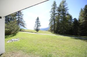 une vue d'un champ avec des arbres et une route dans l'établissement Cà Mughi Studio, à Zuel