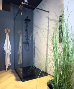 a mirror in a room next to a plant at Sparkle privé wellness B&B in Franeker