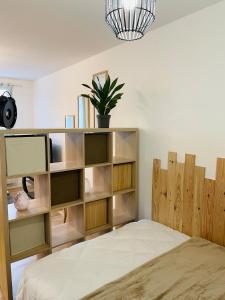 a bedroom with a book shelf and a bed at Grand studio Ô Joie in Auxerre