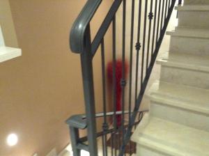 a red bird is sitting on the stairs at Hotel C'era Una Volta in Castiglione della Pescaia