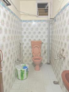 a bathroom with a pink toilet and a sink at Hostel Madras in Chennai