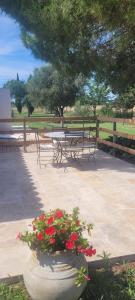 Zahrada ubytování Mas Sicard chambre d'hôtes en Camargue + 3 fotografie