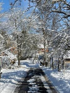 a snowy road with snow covered trees on it at Ferienwohnung Marina an der Romantischen Straße in Weikersheim