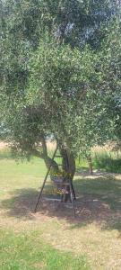 Zahrada ubytování Mas Sicard chambre d'hôtes en Camargue