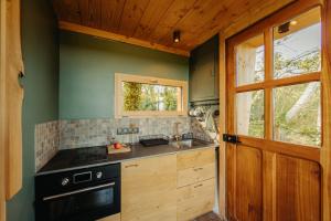 a kitchen with a sink and a stove at Cabane La Fontaine du Figuier in Saint-Maurice-sur-Eygues