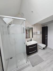 a bathroom with a shower and a sink and a toilet at La petite Longère de Vin'Ay in Vinay