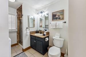a bathroom with a toilet and a sink and a shower at Apres Ski Haven Pet Friendly with Private Hot tub in Breckenridge +31 photos