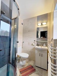 a bathroom with a toilet and a sink and a shower at U Dany in Białka Tatrzanska