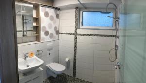 a bathroom with a toilet and a sink and a shower at 1 Zimmer Apartment in Buchenrod Flieden in Flieden