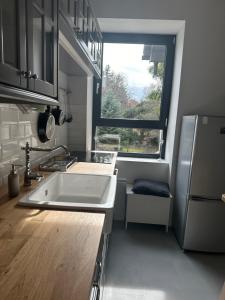Kuchyňa alebo kuchynka v ubytovaní Pelso Luxury Apartments