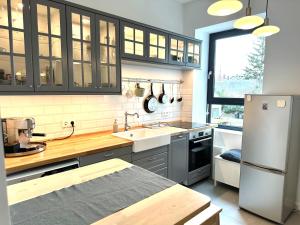 Kuchyňa alebo kuchynka v ubytovaní Pelso Luxury Apartments